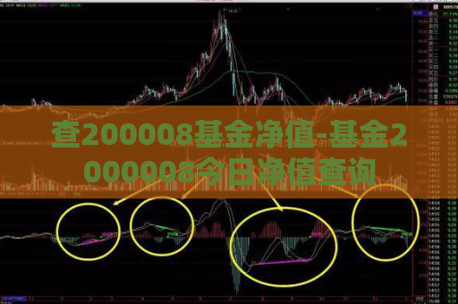 查200008基金净值-基金2000008今日净值查询  第1张