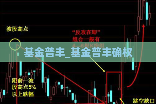 基金普丰_基金普丰确权  第1张