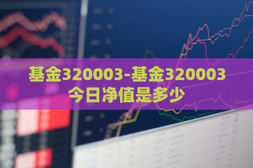 基金320003-基金320003今日净值是多少  第1张