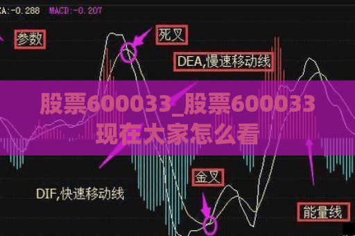 股票600033_股票600033现在大家怎么看  第1张