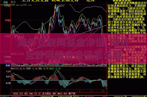 海外互联网基金净值_海外互联网基金净值怎么算  第1张