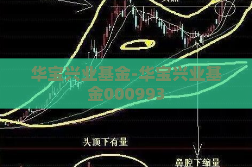 华宝兴业基金-华宝兴业基金000993