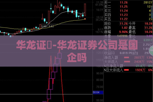 华龙证劵-华龙证券公司是国企吗  第1张