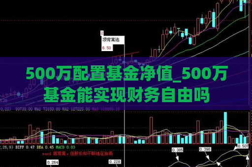 500万配置基金净值_500万基金能实现财务自由吗  第1张