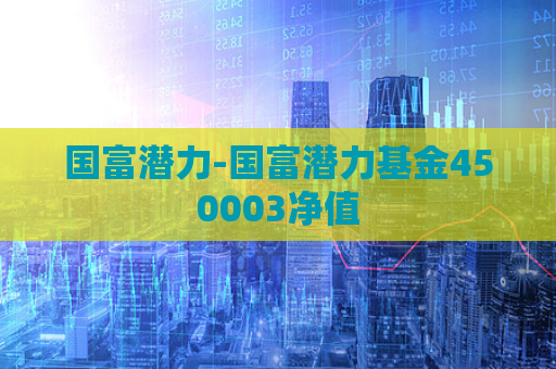 国富潜力-国富潜力基金450003净值  第1张