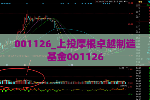 001126_上投摩根卓越制造基金001126  第1张