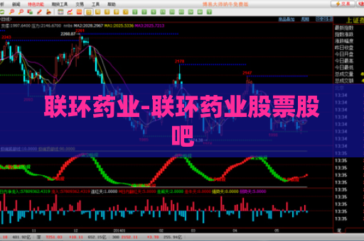 联环药业-联环药业股票股吧  第1张