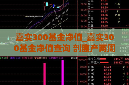 嘉实300基金净值_嘉实300基金净值查询 剖腹产两周后可以吃什么  第1张