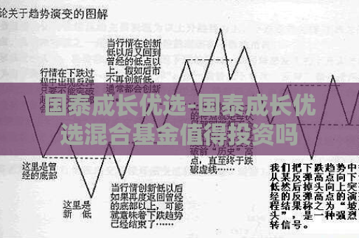 国泰成长优选-国泰成长优选混合基金值得投资吗  第1张