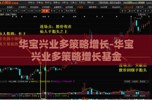 华宝兴业多策略增长-华宝兴业多策略增长基金