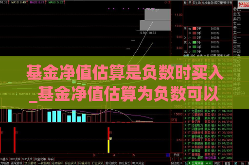 基金净值估算是负数时买入_基金净值估算为负数可以买吗?  第1张