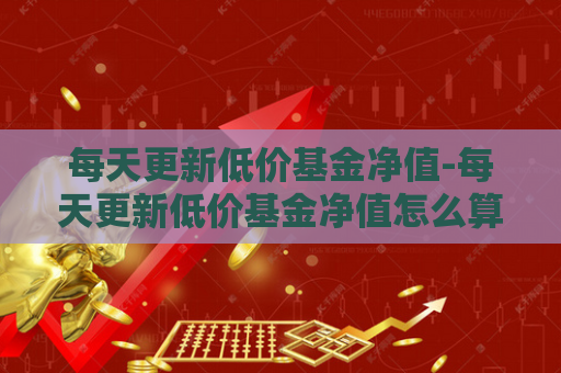 每天更新低价基金净值-每天更新低价基金净值怎么算  第1张