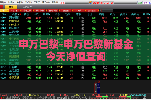 申万巴黎-申万巴黎新基金今天净值查询  第1张