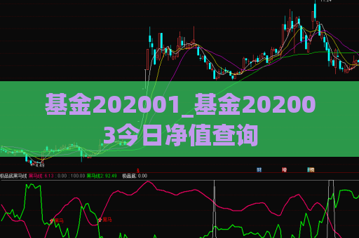 基金202001_基金202003今日净值查询  第1张