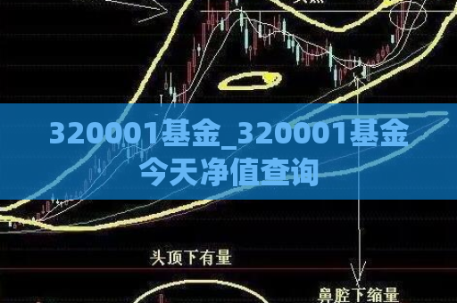 320001基金_320001基金今天净值查询