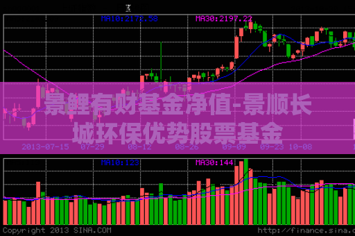 景鲤有财基金净值-景顺长城环保优势股票基金  第1张