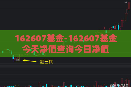 162607基金-162607基金今天净值查询今日净值  第1张