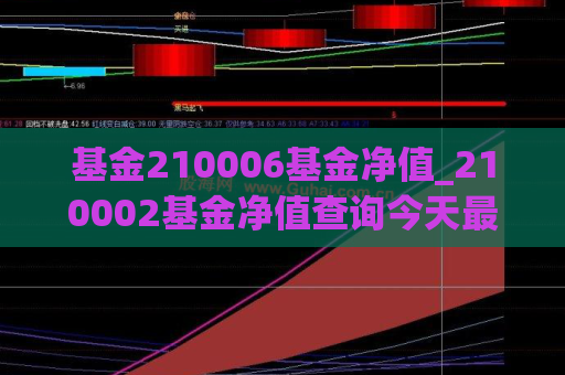 基金210006基金净值_210002基金净值查询今天最新  第1张