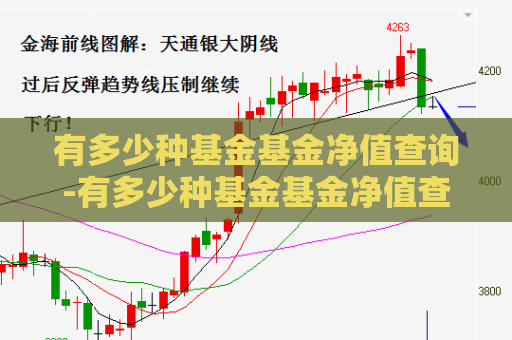 有多少种基金基金净值查询-有多少种基金基金净值查询的  第1张