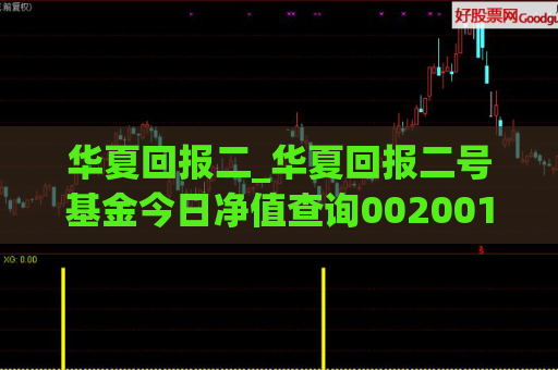 华夏回报二_华夏回报二号基金今日净值查询002001  第1张