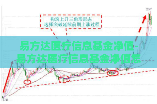 易方达医疗信息基金净值-易方达医疗信息基金净值怎么看  第1张