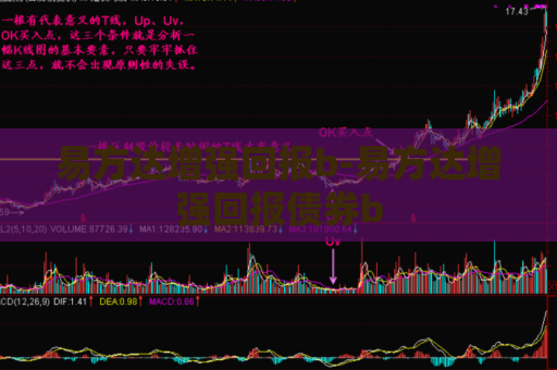 易方达增强回报b-易方达增强回报债券b  第1张