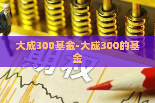 大成300基金-大成300的基金  第1张