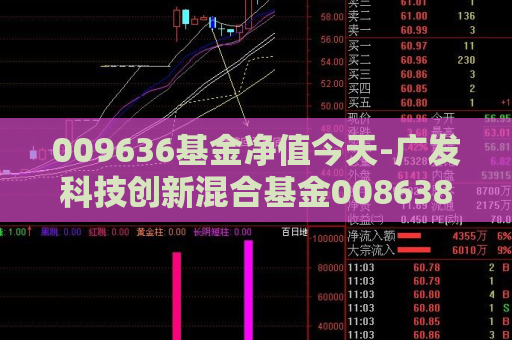 009636基金净值今天-广发科技创新混合基金008638  第1张