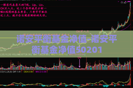 诺安平衡基金净值-诺安平衡基金净值50201  第1张