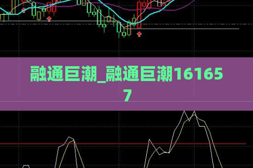 融通巨潮_融通巨潮161657  第1张