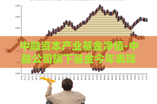 中融资本产业基金净值-中融公司旗下基金今年表现  第1张