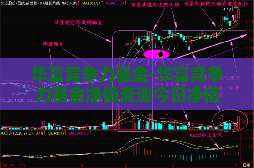 华富竞争力基金-华富竞争力基金净值查询今日净值  第1张