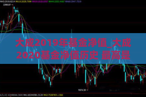 大成2019年基金净值_大成2020基金净值历史 最高是哪年  第1张