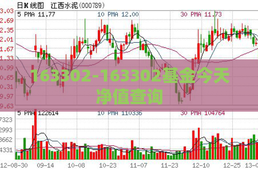 163302-163302基金今天净值查询  第1张