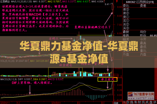 华夏鼎力基金净值-华夏鼎源a基金净值  第1张