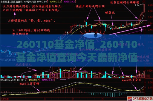 260110基金净值_260110基金净值查询今天最新净值  第1张