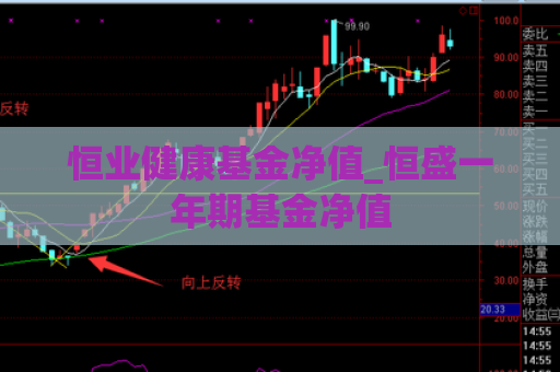 恒业健康基金净值_恒盛一年期基金净值  第1张