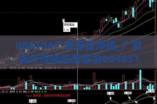 008704广发基金净值_广发医疗保健股票基金004851  第1张