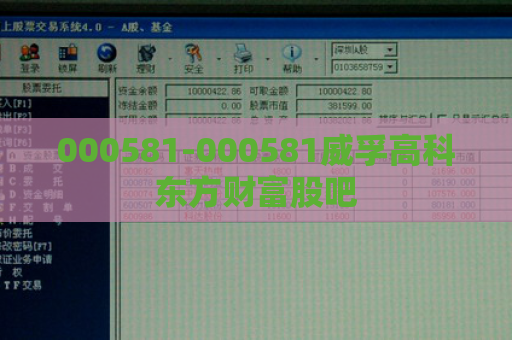 000581-000581威孚高科东方财富股吧  第1张