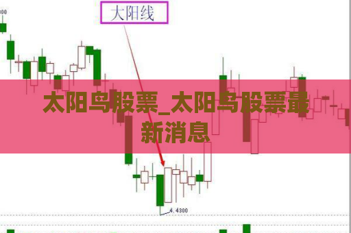 太阳鸟股票_太阳鸟股票最新消息  第1张