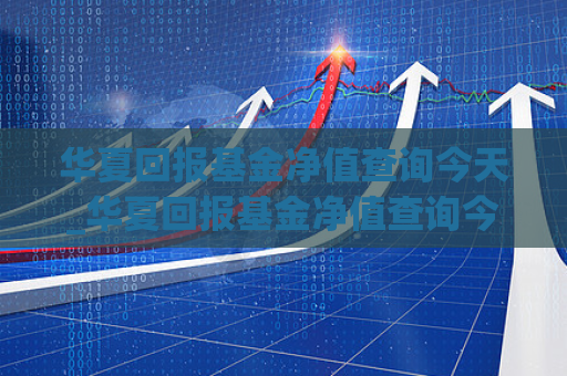 华夏回报基金净值查询今天_华夏回报基金净值查询今天走势  第1张