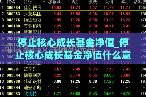 停止核心成长基金净值_停止核心成长基金净值什么意思  第1张