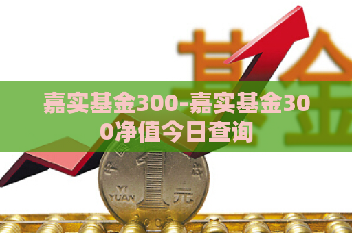 嘉实基金300-嘉实基金300净值今日查询  第1张