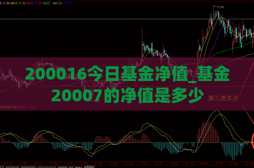 200016今日基金净值_基金20007的净值是多少  第1张