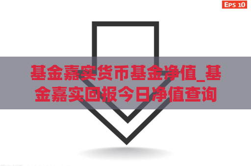 基金嘉实货币基金净值_基金嘉实回报今日净值查询  第1张