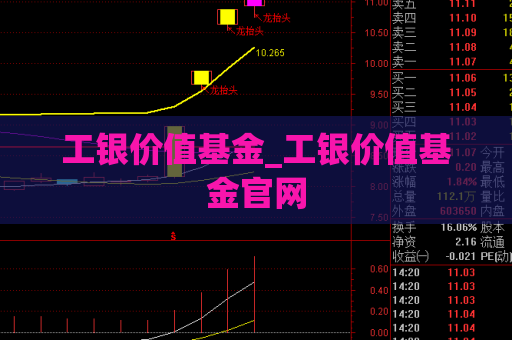 工银价值基金_工银价值基金官网  第1张