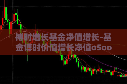 搏时增长基金净值增长-基金博时价值增长净值o5ooo1  第1张