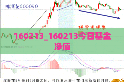 160213_160213今日基金净值  第1张