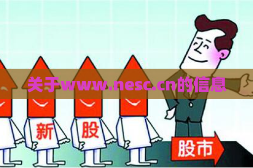 关于www.nesc.cn的信息  第1张