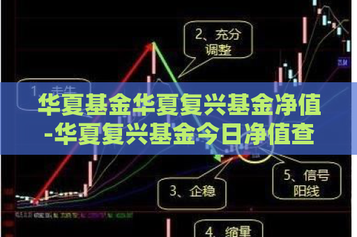 华夏基金华夏复兴基金净值-华夏复兴基金今日净值查询162207  第1张